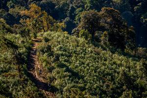 BIB: 
                            <button type="button" onclick="openModal(19374828)" class="btn btn-primary btn-sm float-right btn-popup" data-toggle="modal" data-target=".modal-high-quality">
                        <i class="fas fa-shopping-cart"></i> Add to Cart
                    </button>
                                            <button type="button" onclick="isThisMe(19374828, true)" class="btn btn-success btn-sm float-right btn-popup btn-isme hidden" data-toggle="tooltip" data-placement="bottom" title="นี่คือรูปของคุณใช่ไหม คลิกที่นี่เพื่อเอาเข้าอัลบั้ม">
                        <i class="fas fa-plus"></i> Add to album
                    </button>
                    <button type="button" onclick="isThisMe(19374828, false)" class="btn btn-warning btn-sm float-right btn-popup btn-isnotme hidden">
                        <i class="fas fa-ban"></i> Remove from album
                    </button>