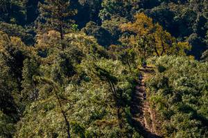 BIB: 
                            <button type="button" onclick="openModal(19374827)" class="btn btn-primary btn-sm float-right btn-popup" data-toggle="modal" data-target=".modal-high-quality">
                        <i class="fas fa-shopping-cart"></i> Add to Cart
                    </button>
                                            <button type="button" onclick="isThisMe(19374827, true)" class="btn btn-success btn-sm float-right btn-popup btn-isme hidden" data-toggle="tooltip" data-placement="bottom" title="นี่คือรูปของคุณใช่ไหม คลิกที่นี่เพื่อเอาเข้าอัลบั้ม">
                        <i class="fas fa-plus"></i> Add to album
                    </button>
                    <button type="button" onclick="isThisMe(19374827, false)" class="btn btn-warning btn-sm float-right btn-popup btn-isnotme hidden">
                        <i class="fas fa-ban"></i> Remove from album
                    </button>