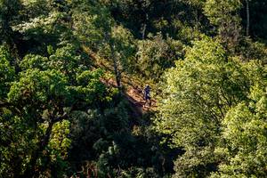 BIB: 
                            <button type="button" onclick="openModal(19374835)" class="btn btn-primary btn-sm float-right btn-popup" data-toggle="modal" data-target=".modal-high-quality">
                        <i class="fas fa-shopping-cart"></i> Add to Cart
                    </button>
                                            <button type="button" onclick="isThisMe(19374835, true)" class="btn btn-success btn-sm float-right btn-popup btn-isme hidden" data-toggle="tooltip" data-placement="bottom" title="นี่คือรูปของคุณใช่ไหม คลิกที่นี่เพื่อเอาเข้าอัลบั้ม">
                        <i class="fas fa-plus"></i> Add to album
                    </button>
                    <button type="button" onclick="isThisMe(19374835, false)" class="btn btn-warning btn-sm float-right btn-popup btn-isnotme hidden">
                        <i class="fas fa-ban"></i> Remove from album
                    </button>