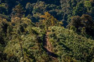 BIB: 
                            <button type="button" onclick="openModal(19374819)" class="btn btn-primary btn-sm float-right btn-popup" data-toggle="modal" data-target=".modal-high-quality">
                        <i class="fas fa-shopping-cart"></i> Add to Cart
                    </button>
                                            <button type="button" onclick="isThisMe(19374819, true)" class="btn btn-success btn-sm float-right btn-popup btn-isme hidden" data-toggle="tooltip" data-placement="bottom" title="นี่คือรูปของคุณใช่ไหม คลิกที่นี่เพื่อเอาเข้าอัลบั้ม">
                        <i class="fas fa-plus"></i> Add to album
                    </button>
                    <button type="button" onclick="isThisMe(19374819, false)" class="btn btn-warning btn-sm float-right btn-popup btn-isnotme hidden">
                        <i class="fas fa-ban"></i> Remove from album
                    </button>