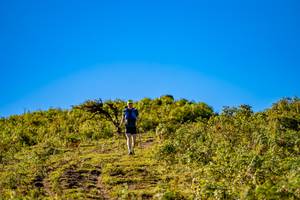 BIB: 
                            <button type="button" onclick="openModal(19374743)" class="btn btn-primary btn-sm float-right btn-popup" data-toggle="modal" data-target=".modal-high-quality">
                        <i class="fas fa-shopping-cart"></i> Add to Cart
                    </button>
                                            <button type="button" onclick="isThisMe(19374743, true)" class="btn btn-success btn-sm float-right btn-popup btn-isme hidden" data-toggle="tooltip" data-placement="bottom" title="นี่คือรูปของคุณใช่ไหม คลิกที่นี่เพื่อเอาเข้าอัลบั้ม">
                        <i class="fas fa-plus"></i> Add to album
                    </button>
                    <button type="button" onclick="isThisMe(19374743, false)" class="btn btn-warning btn-sm float-right btn-popup btn-isnotme hidden">
                        <i class="fas fa-ban"></i> Remove from album
                    </button>