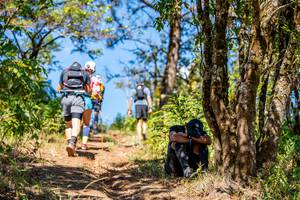 BIB: 
                            <button type="button" onclick="openModal(19375126)" class="btn btn-primary btn-sm float-right btn-popup" data-toggle="modal" data-target=".modal-high-quality">
                        <i class="fas fa-shopping-cart"></i> Add to Cart
                    </button>
                                            <button type="button" onclick="isThisMe(19375126, true)" class="btn btn-success btn-sm float-right btn-popup btn-isme hidden" data-toggle="tooltip" data-placement="bottom" title="นี่คือรูปของคุณใช่ไหม คลิกที่นี่เพื่อเอาเข้าอัลบั้ม">
                        <i class="fas fa-plus"></i> Add to album
                    </button>
                    <button type="button" onclick="isThisMe(19375126, false)" class="btn btn-warning btn-sm float-right btn-popup btn-isnotme hidden">
                        <i class="fas fa-ban"></i> Remove from album
                    </button>