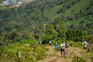 BIB: 
                            <button type="button" onclick="openModal(19375159)" class="btn btn-primary btn-sm float-right btn-popup" data-toggle="modal" data-target=".modal-high-quality">
                        <i class="fas fa-shopping-cart"></i> Add to Cart
                    </button>
                                            <button type="button" onclick="isThisMe(19375159, true)" class="btn btn-success btn-sm float-right btn-popup btn-isme hidden" data-toggle="tooltip" data-placement="bottom" title="นี่คือรูปของคุณใช่ไหม คลิกที่นี่เพื่อเอาเข้าอัลบั้ม">
                        <i class="fas fa-plus"></i> Add to album
                    </button>
                    <button type="button" onclick="isThisMe(19375159, false)" class="btn btn-warning btn-sm float-right btn-popup btn-isnotme hidden">
                        <i class="fas fa-ban"></i> Remove from album
                    </button>