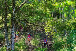 BIB: 
                            <button type="button" onclick="openModal(19371065)" class="btn btn-primary btn-sm float-right btn-popup" data-toggle="modal" data-target=".modal-high-quality">
                        <i class="fas fa-shopping-cart"></i> Add to Cart
                    </button>
                                            <button type="button" onclick="isThisMe(19371065, true)" class="btn btn-success btn-sm float-right btn-popup btn-isme hidden" data-toggle="tooltip" data-placement="bottom" title="นี่คือรูปของคุณใช่ไหม คลิกที่นี่เพื่อเอาเข้าอัลบั้ม">
                        <i class="fas fa-plus"></i> Add to album
                    </button>
                    <button type="button" onclick="isThisMe(19371065, false)" class="btn btn-warning btn-sm float-right btn-popup btn-isnotme hidden">
                        <i class="fas fa-ban"></i> Remove from album
                    </button>