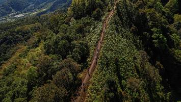 BIB: 
                            <button type="button" onclick="openModal(19369805)" class="btn btn-primary btn-sm float-right btn-popup" data-toggle="modal" data-target=".modal-high-quality">
                        <i class="fas fa-shopping-cart"></i> Add to Cart
                    </button>
                                            <button type="button" onclick="isThisMe(19369805, true)" class="btn btn-success btn-sm float-right btn-popup btn-isme hidden" data-toggle="tooltip" data-placement="bottom" title="นี่คือรูปของคุณใช่ไหม คลิกที่นี่เพื่อเอาเข้าอัลบั้ม">
                        <i class="fas fa-plus"></i> Add to album
                    </button>
                    <button type="button" onclick="isThisMe(19369805, false)" class="btn btn-warning btn-sm float-right btn-popup btn-isnotme hidden">
                        <i class="fas fa-ban"></i> Remove from album
                    </button>