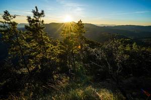 BIB: 
                            <button type="button" onclick="openModal(19370064)" class="btn btn-primary btn-sm float-right btn-popup" data-toggle="modal" data-target=".modal-high-quality">
                        <i class="fas fa-shopping-cart"></i> Add to Cart
                    </button>
                                            <button type="button" onclick="isThisMe(19370064, true)" class="btn btn-success btn-sm float-right btn-popup btn-isme hidden" data-toggle="tooltip" data-placement="bottom" title="นี่คือรูปของคุณใช่ไหม คลิกที่นี่เพื่อเอาเข้าอัลบั้ม">
                        <i class="fas fa-plus"></i> Add to album
                    </button>
                    <button type="button" onclick="isThisMe(19370064, false)" class="btn btn-warning btn-sm float-right btn-popup btn-isnotme hidden">
                        <i class="fas fa-ban"></i> Remove from album
                    </button>