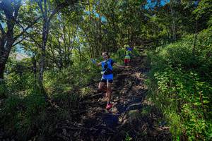 BIB: 
                            <button type="button" onclick="openModal(19371113)" class="btn btn-primary btn-sm float-right btn-popup" data-toggle="modal" data-target=".modal-high-quality">
                        <i class="fas fa-shopping-cart"></i> Add to Cart
                    </button>
                                            <button type="button" onclick="isThisMe(19371113, true)" class="btn btn-success btn-sm float-right btn-popup btn-isme hidden" data-toggle="tooltip" data-placement="bottom" title="นี่คือรูปของคุณใช่ไหม คลิกที่นี่เพื่อเอาเข้าอัลบั้ม">
                        <i class="fas fa-plus"></i> Add to album
                    </button>
                    <button type="button" onclick="isThisMe(19371113, false)" class="btn btn-warning btn-sm float-right btn-popup btn-isnotme hidden">
                        <i class="fas fa-ban"></i> Remove from album
                    </button>