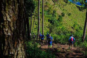 BIB: 
                            <button type="button" onclick="openModal(19371127)" class="btn btn-primary btn-sm float-right btn-popup" data-toggle="modal" data-target=".modal-high-quality">
                        <i class="fas fa-shopping-cart"></i> Add to Cart
                    </button>
                                            <button type="button" onclick="isThisMe(19371127, true)" class="btn btn-success btn-sm float-right btn-popup btn-isme hidden" data-toggle="tooltip" data-placement="bottom" title="นี่คือรูปของคุณใช่ไหม คลิกที่นี่เพื่อเอาเข้าอัลบั้ม">
                        <i class="fas fa-plus"></i> Add to album
                    </button>
                    <button type="button" onclick="isThisMe(19371127, false)" class="btn btn-warning btn-sm float-right btn-popup btn-isnotme hidden">
                        <i class="fas fa-ban"></i> Remove from album
                    </button>