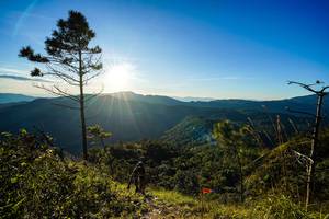 BIB: 
                            <button type="button" onclick="openModal(19370053)" class="btn btn-primary btn-sm float-right btn-popup" data-toggle="modal" data-target=".modal-high-quality">
                        <i class="fas fa-shopping-cart"></i> Add to Cart
                    </button>
                                            <button type="button" onclick="isThisMe(19370053, true)" class="btn btn-success btn-sm float-right btn-popup btn-isme hidden" data-toggle="tooltip" data-placement="bottom" title="นี่คือรูปของคุณใช่ไหม คลิกที่นี่เพื่อเอาเข้าอัลบั้ม">
                        <i class="fas fa-plus"></i> Add to album
                    </button>
                    <button type="button" onclick="isThisMe(19370053, false)" class="btn btn-warning btn-sm float-right btn-popup btn-isnotme hidden">
                        <i class="fas fa-ban"></i> Remove from album
                    </button>