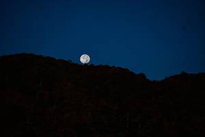 BIB: 
                            <button type="button" onclick="openModal(19370938)" class="btn btn-primary btn-sm float-right btn-popup" data-toggle="modal" data-target=".modal-high-quality">
                        <i class="fas fa-shopping-cart"></i> Add to Cart
                    </button>
                                            <button type="button" onclick="isThisMe(19370938, true)" class="btn btn-success btn-sm float-right btn-popup btn-isme hidden" data-toggle="tooltip" data-placement="bottom" title="นี่คือรูปของคุณใช่ไหม คลิกที่นี่เพื่อเอาเข้าอัลบั้ม">
                        <i class="fas fa-plus"></i> Add to album
                    </button>
                    <button type="button" onclick="isThisMe(19370938, false)" class="btn btn-warning btn-sm float-right btn-popup btn-isnotme hidden">
                        <i class="fas fa-ban"></i> Remove from album
                    </button>