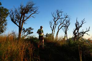 BIB: 
                            <button type="button" onclick="openModal(19371245)" class="btn btn-primary btn-sm float-right btn-popup" data-toggle="modal" data-target=".modal-high-quality">
                        <i class="fas fa-shopping-cart"></i> Add to Cart
                    </button>
                                            <button type="button" onclick="isThisMe(19371245, true)" class="btn btn-success btn-sm float-right btn-popup btn-isme hidden" data-toggle="tooltip" data-placement="bottom" title="นี่คือรูปของคุณใช่ไหม คลิกที่นี่เพื่อเอาเข้าอัลบั้ม">
                        <i class="fas fa-plus"></i> Add to album
                    </button>
                    <button type="button" onclick="isThisMe(19371245, false)" class="btn btn-warning btn-sm float-right btn-popup btn-isnotme hidden">
                        <i class="fas fa-ban"></i> Remove from album
                    </button>