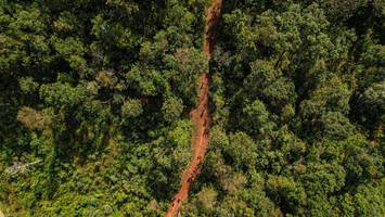 BIB: 
                            <button type="button" onclick="openModal(19369855)" class="btn btn-primary btn-sm float-right btn-popup" data-toggle="modal" data-target=".modal-high-quality">
                        <i class="fas fa-shopping-cart"></i> Add to Cart
                    </button>
                                            <button type="button" onclick="isThisMe(19369855, true)" class="btn btn-success btn-sm float-right btn-popup btn-isme hidden" data-toggle="tooltip" data-placement="bottom" title="นี่คือรูปของคุณใช่ไหม คลิกที่นี่เพื่อเอาเข้าอัลบั้ม">
                        <i class="fas fa-plus"></i> Add to album
                    </button>
                    <button type="button" onclick="isThisMe(19369855, false)" class="btn btn-warning btn-sm float-right btn-popup btn-isnotme hidden">
                        <i class="fas fa-ban"></i> Remove from album
                    </button>