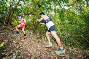 BIB: 
                            <button type="button" onclick="openModal(19370006)" class="btn btn-primary btn-sm float-right btn-popup" data-toggle="modal" data-target=".modal-high-quality">
                        <i class="fas fa-shopping-cart"></i> Add to Cart
                    </button>
                                            <button type="button" onclick="isThisMe(19370006, true)" class="btn btn-success btn-sm float-right btn-popup btn-isme hidden" data-toggle="tooltip" data-placement="bottom" title="นี่คือรูปของคุณใช่ไหม คลิกที่นี่เพื่อเอาเข้าอัลบั้ม">
                        <i class="fas fa-plus"></i> Add to album
                    </button>
                    <button type="button" onclick="isThisMe(19370006, false)" class="btn btn-warning btn-sm float-right btn-popup btn-isnotme hidden">
                        <i class="fas fa-ban"></i> Remove from album
                    </button>