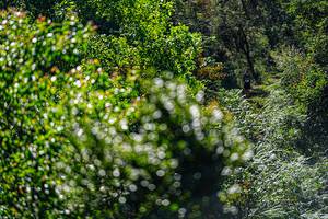 BIB: 
                            <button type="button" onclick="openModal(19371033)" class="btn btn-primary btn-sm float-right btn-popup" data-toggle="modal" data-target=".modal-high-quality">
                        <i class="fas fa-shopping-cart"></i> Add to Cart
                    </button>
                                            <button type="button" onclick="isThisMe(19371033, true)" class="btn btn-success btn-sm float-right btn-popup btn-isme hidden" data-toggle="tooltip" data-placement="bottom" title="นี่คือรูปของคุณใช่ไหม คลิกที่นี่เพื่อเอาเข้าอัลบั้ม">
                        <i class="fas fa-plus"></i> Add to album
                    </button>
                    <button type="button" onclick="isThisMe(19371033, false)" class="btn btn-warning btn-sm float-right btn-popup btn-isnotme hidden">
                        <i class="fas fa-ban"></i> Remove from album
                    </button>