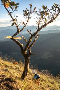 BIB: 
                            <button type="button" onclick="openModal(19369662)" class="btn btn-primary btn-sm float-right btn-popup" data-toggle="modal" data-target=".modal-high-quality">
                        <i class="fas fa-shopping-cart"></i> Add to Cart
                    </button>
                                            <button type="button" onclick="isThisMe(19369662, true)" class="btn btn-success btn-sm float-right btn-popup btn-isme hidden" data-toggle="tooltip" data-placement="bottom" title="นี่คือรูปของคุณใช่ไหม คลิกที่นี่เพื่อเอาเข้าอัลบั้ม">
                        <i class="fas fa-plus"></i> Add to album
                    </button>
                    <button type="button" onclick="isThisMe(19369662, false)" class="btn btn-warning btn-sm float-right btn-popup btn-isnotme hidden">
                        <i class="fas fa-ban"></i> Remove from album
                    </button>