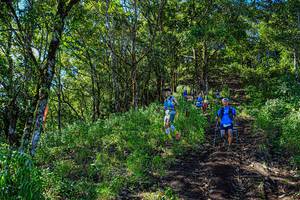 BIB: 
                            <button type="button" onclick="openModal(19371111)" class="btn btn-primary btn-sm float-right btn-popup" data-toggle="modal" data-target=".modal-high-quality">
                        <i class="fas fa-shopping-cart"></i> Add to Cart
                    </button>
                                            <button type="button" onclick="isThisMe(19371111, true)" class="btn btn-success btn-sm float-right btn-popup btn-isme hidden" data-toggle="tooltip" data-placement="bottom" title="นี่คือรูปของคุณใช่ไหม คลิกที่นี่เพื่อเอาเข้าอัลบั้ม">
                        <i class="fas fa-plus"></i> Add to album
                    </button>
                    <button type="button" onclick="isThisMe(19371111, false)" class="btn btn-warning btn-sm float-right btn-popup btn-isnotme hidden">
                        <i class="fas fa-ban"></i> Remove from album
                    </button>