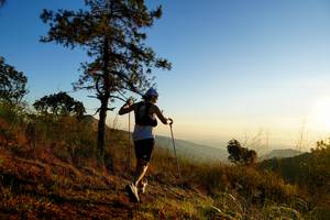 BIB: 
                            <button type="button" onclick="openModal(19371256)" class="btn btn-primary btn-sm float-right btn-popup" data-toggle="modal" data-target=".modal-high-quality">
                        <i class="fas fa-shopping-cart"></i> Add to Cart
                    </button>
                                            <button type="button" onclick="isThisMe(19371256, true)" class="btn btn-success btn-sm float-right btn-popup btn-isme hidden" data-toggle="tooltip" data-placement="bottom" title="นี่คือรูปของคุณใช่ไหม คลิกที่นี่เพื่อเอาเข้าอัลบั้ม">
                        <i class="fas fa-plus"></i> Add to album
                    </button>
                    <button type="button" onclick="isThisMe(19371256, false)" class="btn btn-warning btn-sm float-right btn-popup btn-isnotme hidden">
                        <i class="fas fa-ban"></i> Remove from album
                    </button>