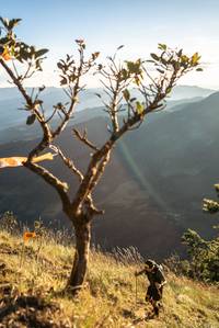 BIB: 
                            <button type="button" onclick="openModal(19369661)" class="btn btn-primary btn-sm float-right btn-popup" data-toggle="modal" data-target=".modal-high-quality">
                        <i class="fas fa-shopping-cart"></i> Add to Cart
                    </button>
                                            <button type="button" onclick="isThisMe(19369661, true)" class="btn btn-success btn-sm float-right btn-popup btn-isme hidden" data-toggle="tooltip" data-placement="bottom" title="นี่คือรูปของคุณใช่ไหม คลิกที่นี่เพื่อเอาเข้าอัลบั้ม">
                        <i class="fas fa-plus"></i> Add to album
                    </button>
                    <button type="button" onclick="isThisMe(19369661, false)" class="btn btn-warning btn-sm float-right btn-popup btn-isnotme hidden">
                        <i class="fas fa-ban"></i> Remove from album
                    </button>