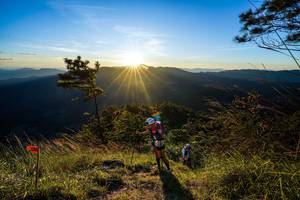 BIB: 
                            <button type="button" onclick="openModal(19370069)" class="btn btn-primary btn-sm float-right btn-popup" data-toggle="modal" data-target=".modal-high-quality">
                        <i class="fas fa-shopping-cart"></i> Add to Cart
                    </button>
                                            <button type="button" onclick="isThisMe(19370069, true)" class="btn btn-success btn-sm float-right btn-popup btn-isme hidden" data-toggle="tooltip" data-placement="bottom" title="นี่คือรูปของคุณใช่ไหม คลิกที่นี่เพื่อเอาเข้าอัลบั้ม">
                        <i class="fas fa-plus"></i> Add to album
                    </button>
                    <button type="button" onclick="isThisMe(19370069, false)" class="btn btn-warning btn-sm float-right btn-popup btn-isnotme hidden">
                        <i class="fas fa-ban"></i> Remove from album
                    </button>