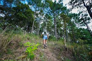 BIB: 
                            <button type="button" onclick="openModal(19370018)" class="btn btn-primary btn-sm float-right btn-popup" data-toggle="modal" data-target=".modal-high-quality">
                        <i class="fas fa-shopping-cart"></i> Add to Cart
                    </button>
                                            <button type="button" onclick="isThisMe(19370018, true)" class="btn btn-success btn-sm float-right btn-popup btn-isme hidden" data-toggle="tooltip" data-placement="bottom" title="นี่คือรูปของคุณใช่ไหม คลิกที่นี่เพื่อเอาเข้าอัลบั้ม">
                        <i class="fas fa-plus"></i> Add to album
                    </button>
                    <button type="button" onclick="isThisMe(19370018, false)" class="btn btn-warning btn-sm float-right btn-popup btn-isnotme hidden">
                        <i class="fas fa-ban"></i> Remove from album
                    </button>