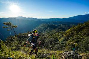 BIB: 
                            <button type="button" onclick="openModal(19370050)" class="btn btn-primary btn-sm float-right btn-popup" data-toggle="modal" data-target=".modal-high-quality">
                        <i class="fas fa-shopping-cart"></i> Add to Cart
                    </button>
                                            <button type="button" onclick="isThisMe(19370050, true)" class="btn btn-success btn-sm float-right btn-popup btn-isme hidden" data-toggle="tooltip" data-placement="bottom" title="นี่คือรูปของคุณใช่ไหม คลิกที่นี่เพื่อเอาเข้าอัลบั้ม">
                        <i class="fas fa-plus"></i> Add to album
                    </button>
                    <button type="button" onclick="isThisMe(19370050, false)" class="btn btn-warning btn-sm float-right btn-popup btn-isnotme hidden">
                        <i class="fas fa-ban"></i> Remove from album
                    </button>