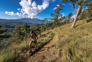 BIB: 
                            <button type="button" onclick="openModal(19369729)" class="btn btn-primary btn-sm float-right btn-popup" data-toggle="modal" data-target=".modal-high-quality">
                        <i class="fas fa-shopping-cart"></i> Add to Cart
                    </button>
                                            <button type="button" onclick="isThisMe(19369729, true)" class="btn btn-success btn-sm float-right btn-popup btn-isme hidden" data-toggle="tooltip" data-placement="bottom" title="นี่คือรูปของคุณใช่ไหม คลิกที่นี่เพื่อเอาเข้าอัลบั้ม">
                        <i class="fas fa-plus"></i> Add to album
                    </button>
                    <button type="button" onclick="isThisMe(19369729, false)" class="btn btn-warning btn-sm float-right btn-popup btn-isnotme hidden">
                        <i class="fas fa-ban"></i> Remove from album
                    </button>