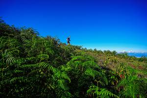 BIB: 
                            <button type="button" onclick="openModal(19371006)" class="btn btn-primary btn-sm float-right btn-popup" data-toggle="modal" data-target=".modal-high-quality">
                        <i class="fas fa-shopping-cart"></i> Add to Cart
                    </button>
                                            <button type="button" onclick="isThisMe(19371006, true)" class="btn btn-success btn-sm float-right btn-popup btn-isme hidden" data-toggle="tooltip" data-placement="bottom" title="นี่คือรูปของคุณใช่ไหม คลิกที่นี่เพื่อเอาเข้าอัลบั้ม">
                        <i class="fas fa-plus"></i> Add to album
                    </button>
                    <button type="button" onclick="isThisMe(19371006, false)" class="btn btn-warning btn-sm float-right btn-popup btn-isnotme hidden">
                        <i class="fas fa-ban"></i> Remove from album
                    </button>