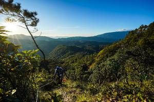 BIB: 
                            <button type="button" onclick="openModal(19370059)" class="btn btn-primary btn-sm float-right btn-popup" data-toggle="modal" data-target=".modal-high-quality">
                        <i class="fas fa-shopping-cart"></i> Add to Cart
                    </button>
                                            <button type="button" onclick="isThisMe(19370059, true)" class="btn btn-success btn-sm float-right btn-popup btn-isme hidden" data-toggle="tooltip" data-placement="bottom" title="นี่คือรูปของคุณใช่ไหม คลิกที่นี่เพื่อเอาเข้าอัลบั้ม">
                        <i class="fas fa-plus"></i> Add to album
                    </button>
                    <button type="button" onclick="isThisMe(19370059, false)" class="btn btn-warning btn-sm float-right btn-popup btn-isnotme hidden">
                        <i class="fas fa-ban"></i> Remove from album
                    </button>