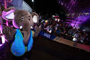 BIB: 177
                            <button type="button" onclick="openModal(19370096)" class="btn btn-primary btn-sm float-right btn-popup" data-toggle="modal" data-target=".modal-high-quality">
                        <i class="fas fa-shopping-cart"></i> Add to Cart
                    </button>
                                            <button type="button" onclick="isThisMe(19370096, true)" class="btn btn-success btn-sm float-right btn-popup btn-isme hidden" data-toggle="tooltip" data-placement="bottom" title="นี่คือรูปของคุณใช่ไหม คลิกที่นี่เพื่อเอาเข้าอัลบั้ม">
                        <i class="fas fa-plus"></i> Add to album
                    </button>
                    <button type="button" onclick="isThisMe(19370096, false)" class="btn btn-warning btn-sm float-right btn-popup btn-isnotme hidden">
                        <i class="fas fa-ban"></i> Remove from album
                    </button>