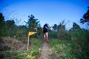 BIB: 
                            <button type="button" onclick="openModal(19370025)" class="btn btn-primary btn-sm float-right btn-popup" data-toggle="modal" data-target=".modal-high-quality">
                        <i class="fas fa-shopping-cart"></i> Add to Cart
                    </button>
                                            <button type="button" onclick="isThisMe(19370025, true)" class="btn btn-success btn-sm float-right btn-popup btn-isme hidden" data-toggle="tooltip" data-placement="bottom" title="นี่คือรูปของคุณใช่ไหม คลิกที่นี่เพื่อเอาเข้าอัลบั้ม">
                        <i class="fas fa-plus"></i> Add to album
                    </button>
                    <button type="button" onclick="isThisMe(19370025, false)" class="btn btn-warning btn-sm float-right btn-popup btn-isnotme hidden">
                        <i class="fas fa-ban"></i> Remove from album
                    </button>