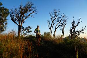 BIB: 
                            <button type="button" onclick="openModal(19371244)" class="btn btn-primary btn-sm float-right btn-popup" data-toggle="modal" data-target=".modal-high-quality">
                        <i class="fas fa-shopping-cart"></i> Add to Cart
                    </button>
                                            <button type="button" onclick="isThisMe(19371244, true)" class="btn btn-success btn-sm float-right btn-popup btn-isme hidden" data-toggle="tooltip" data-placement="bottom" title="นี่คือรูปของคุณใช่ไหม คลิกที่นี่เพื่อเอาเข้าอัลบั้ม">
                        <i class="fas fa-plus"></i> Add to album
                    </button>
                    <button type="button" onclick="isThisMe(19371244, false)" class="btn btn-warning btn-sm float-right btn-popup btn-isnotme hidden">
                        <i class="fas fa-ban"></i> Remove from album
                    </button>