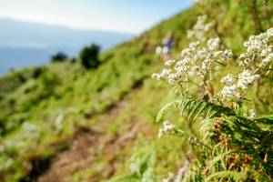 BIB: 
                            <button type="button" onclick="openModal(19371630)" class="btn btn-primary btn-sm float-right btn-popup" data-toggle="modal" data-target=".modal-high-quality">
                        <i class="fas fa-shopping-cart"></i> Add to Cart
                    </button>
                                            <button type="button" onclick="isThisMe(19371630, true)" class="btn btn-success btn-sm float-right btn-popup btn-isme hidden" data-toggle="tooltip" data-placement="bottom" title="นี่คือรูปของคุณใช่ไหม คลิกที่นี่เพื่อเอาเข้าอัลบั้ม">
                        <i class="fas fa-plus"></i> Add to album
                    </button>
                    <button type="button" onclick="isThisMe(19371630, false)" class="btn btn-warning btn-sm float-right btn-popup btn-isnotme hidden">
                        <i class="fas fa-ban"></i> Remove from album
                    </button>