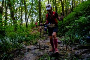 BIB: 1059
                            <button type="button" onclick="openModal(19371613)" class="btn btn-primary btn-sm float-right btn-popup" data-toggle="modal" data-target=".modal-high-quality">
                        <i class="fas fa-shopping-cart"></i> Add to Cart
                    </button>
                                            <button type="button" onclick="isThisMe(19371613, true)" class="btn btn-success btn-sm float-right btn-popup btn-isme hidden" data-toggle="tooltip" data-placement="bottom" title="นี่คือรูปของคุณใช่ไหม คลิกที่นี่เพื่อเอาเข้าอัลบั้ม">
                        <i class="fas fa-plus"></i> Add to album
                    </button>
                    <button type="button" onclick="isThisMe(19371613, false)" class="btn btn-warning btn-sm float-right btn-popup btn-isnotme hidden">
                        <i class="fas fa-ban"></i> Remove from album
                    </button>