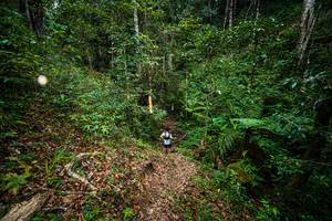 BIB: 
                            <button type="button" onclick="openModal(19370011)" class="btn btn-primary btn-sm float-right btn-popup" data-toggle="modal" data-target=".modal-high-quality">
                        <i class="fas fa-shopping-cart"></i> Add to Cart
                    </button>
                                            <button type="button" onclick="isThisMe(19370011, true)" class="btn btn-success btn-sm float-right btn-popup btn-isme hidden" data-toggle="tooltip" data-placement="bottom" title="นี่คือรูปของคุณใช่ไหม คลิกที่นี่เพื่อเอาเข้าอัลบั้ม">
                        <i class="fas fa-plus"></i> Add to album
                    </button>
                    <button type="button" onclick="isThisMe(19370011, false)" class="btn btn-warning btn-sm float-right btn-popup btn-isnotme hidden">
                        <i class="fas fa-ban"></i> Remove from album
                    </button>