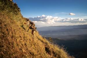 BIB: 
                            <button type="button" onclick="openModal(19369628)" class="btn btn-primary btn-sm float-right btn-popup" data-toggle="modal" data-target=".modal-high-quality">
                        <i class="fas fa-shopping-cart"></i> Add to Cart
                    </button>
                                            <button type="button" onclick="isThisMe(19369628, true)" class="btn btn-success btn-sm float-right btn-popup btn-isme hidden" data-toggle="tooltip" data-placement="bottom" title="นี่คือรูปของคุณใช่ไหม คลิกที่นี่เพื่อเอาเข้าอัลบั้ม">
                        <i class="fas fa-plus"></i> Add to album
                    </button>
                    <button type="button" onclick="isThisMe(19369628, false)" class="btn btn-warning btn-sm float-right btn-popup btn-isnotme hidden">
                        <i class="fas fa-ban"></i> Remove from album
                    </button>