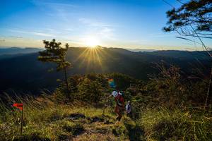 BIB: 
                            <button type="button" onclick="openModal(19370066)" class="btn btn-primary btn-sm float-right btn-popup" data-toggle="modal" data-target=".modal-high-quality">
                        <i class="fas fa-shopping-cart"></i> Add to Cart
                    </button>
                                            <button type="button" onclick="isThisMe(19370066, true)" class="btn btn-success btn-sm float-right btn-popup btn-isme hidden" data-toggle="tooltip" data-placement="bottom" title="นี่คือรูปของคุณใช่ไหม คลิกที่นี่เพื่อเอาเข้าอัลบั้ม">
                        <i class="fas fa-plus"></i> Add to album
                    </button>
                    <button type="button" onclick="isThisMe(19370066, false)" class="btn btn-warning btn-sm float-right btn-popup btn-isnotme hidden">
                        <i class="fas fa-ban"></i> Remove from album
                    </button>