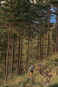 BIB: 
                            <button type="button" onclick="openModal(19369643)" class="btn btn-primary btn-sm float-right btn-popup" data-toggle="modal" data-target=".modal-high-quality">
                        <i class="fas fa-shopping-cart"></i> Add to Cart
                    </button>
                                            <button type="button" onclick="isThisMe(19369643, true)" class="btn btn-success btn-sm float-right btn-popup btn-isme hidden" data-toggle="tooltip" data-placement="bottom" title="นี่คือรูปของคุณใช่ไหม คลิกที่นี่เพื่อเอาเข้าอัลบั้ม">
                        <i class="fas fa-plus"></i> Add to album
                    </button>
                    <button type="button" onclick="isThisMe(19369643, false)" class="btn btn-warning btn-sm float-right btn-popup btn-isnotme hidden">
                        <i class="fas fa-ban"></i> Remove from album
                    </button>