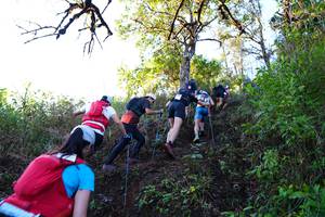 BIB: 
                            <button type="button" onclick="openModal(19371373)" class="btn btn-primary btn-sm float-right btn-popup" data-toggle="modal" data-target=".modal-high-quality">
                        <i class="fas fa-shopping-cart"></i> Add to Cart
                    </button>
                                            <button type="button" onclick="isThisMe(19371373, true)" class="btn btn-success btn-sm float-right btn-popup btn-isme hidden" data-toggle="tooltip" data-placement="bottom" title="นี่คือรูปของคุณใช่ไหม คลิกที่นี่เพื่อเอาเข้าอัลบั้ม">
                        <i class="fas fa-plus"></i> Add to album
                    </button>
                    <button type="button" onclick="isThisMe(19371373, false)" class="btn btn-warning btn-sm float-right btn-popup btn-isnotme hidden">
                        <i class="fas fa-ban"></i> Remove from album
                    </button>