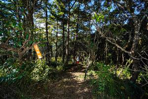 BIB: 
                            <button type="button" onclick="openModal(19370036)" class="btn btn-primary btn-sm float-right btn-popup" data-toggle="modal" data-target=".modal-high-quality">
                        <i class="fas fa-shopping-cart"></i> Add to Cart
                    </button>
                                            <button type="button" onclick="isThisMe(19370036, true)" class="btn btn-success btn-sm float-right btn-popup btn-isme hidden" data-toggle="tooltip" data-placement="bottom" title="นี่คือรูปของคุณใช่ไหม คลิกที่นี่เพื่อเอาเข้าอัลบั้ม">
                        <i class="fas fa-plus"></i> Add to album
                    </button>
                    <button type="button" onclick="isThisMe(19370036, false)" class="btn btn-warning btn-sm float-right btn-popup btn-isnotme hidden">
                        <i class="fas fa-ban"></i> Remove from album
                    </button>