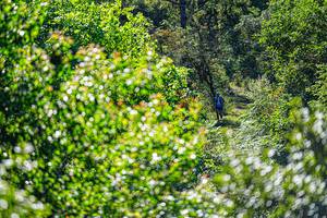 BIB: 
                            <button type="button" onclick="openModal(19371045)" class="btn btn-primary btn-sm float-right btn-popup" data-toggle="modal" data-target=".modal-high-quality">
                        <i class="fas fa-shopping-cart"></i> Add to Cart
                    </button>
                                            <button type="button" onclick="isThisMe(19371045, true)" class="btn btn-success btn-sm float-right btn-popup btn-isme hidden" data-toggle="tooltip" data-placement="bottom" title="นี่คือรูปของคุณใช่ไหม คลิกที่นี่เพื่อเอาเข้าอัลบั้ม">
                        <i class="fas fa-plus"></i> Add to album
                    </button>
                    <button type="button" onclick="isThisMe(19371045, false)" class="btn btn-warning btn-sm float-right btn-popup btn-isnotme hidden">
                        <i class="fas fa-ban"></i> Remove from album
                    </button>