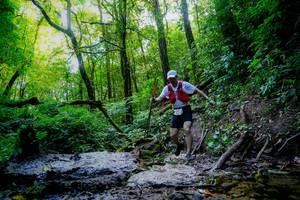 BIB: 
                            <button type="button" onclick="openModal(19371600)" class="btn btn-primary btn-sm float-right btn-popup" data-toggle="modal" data-target=".modal-high-quality">
                        <i class="fas fa-shopping-cart"></i> Add to Cart
                    </button>
                                            <button type="button" onclick="isThisMe(19371600, true)" class="btn btn-success btn-sm float-right btn-popup btn-isme hidden" data-toggle="tooltip" data-placement="bottom" title="นี่คือรูปของคุณใช่ไหม คลิกที่นี่เพื่อเอาเข้าอัลบั้ม">
                        <i class="fas fa-plus"></i> Add to album
                    </button>
                    <button type="button" onclick="isThisMe(19371600, false)" class="btn btn-warning btn-sm float-right btn-popup btn-isnotme hidden">
                        <i class="fas fa-ban"></i> Remove from album
                    </button>