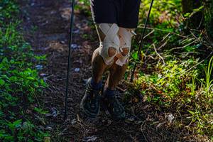 BIB: 
                            <button type="button" onclick="openModal(19371047)" class="btn btn-primary btn-sm float-right btn-popup" data-toggle="modal" data-target=".modal-high-quality">
                        <i class="fas fa-shopping-cart"></i> Add to Cart
                    </button>
                                            <button type="button" onclick="isThisMe(19371047, true)" class="btn btn-success btn-sm float-right btn-popup btn-isme hidden" data-toggle="tooltip" data-placement="bottom" title="นี่คือรูปของคุณใช่ไหม คลิกที่นี่เพื่อเอาเข้าอัลบั้ม">
                        <i class="fas fa-plus"></i> Add to album
                    </button>
                    <button type="button" onclick="isThisMe(19371047, false)" class="btn btn-warning btn-sm float-right btn-popup btn-isnotme hidden">
                        <i class="fas fa-ban"></i> Remove from album
                    </button>