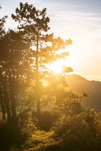 BIB: 
                            <button type="button" onclick="openModal(19369644)" class="btn btn-primary btn-sm float-right btn-popup" data-toggle="modal" data-target=".modal-high-quality">
                        <i class="fas fa-shopping-cart"></i> Add to Cart
                    </button>
                                            <button type="button" onclick="isThisMe(19369644, true)" class="btn btn-success btn-sm float-right btn-popup btn-isme hidden" data-toggle="tooltip" data-placement="bottom" title="นี่คือรูปของคุณใช่ไหม คลิกที่นี่เพื่อเอาเข้าอัลบั้ม">
                        <i class="fas fa-plus"></i> Add to album
                    </button>
                    <button type="button" onclick="isThisMe(19369644, false)" class="btn btn-warning btn-sm float-right btn-popup btn-isnotme hidden">
                        <i class="fas fa-ban"></i> Remove from album
                    </button>