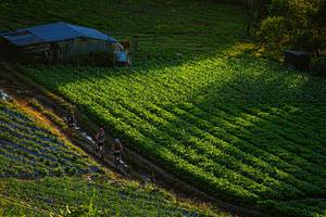 BIB: 
                            <button type="button" onclick="openModal(19370942)" class="btn btn-primary btn-sm float-right btn-popup" data-toggle="modal" data-target=".modal-high-quality">
                        <i class="fas fa-shopping-cart"></i> Add to Cart
                    </button>
                                            <button type="button" onclick="isThisMe(19370942, true)" class="btn btn-success btn-sm float-right btn-popup btn-isme hidden" data-toggle="tooltip" data-placement="bottom" title="นี่คือรูปของคุณใช่ไหม คลิกที่นี่เพื่อเอาเข้าอัลบั้ม">
                        <i class="fas fa-plus"></i> Add to album
                    </button>
                    <button type="button" onclick="isThisMe(19370942, false)" class="btn btn-warning btn-sm float-right btn-popup btn-isnotme hidden">
                        <i class="fas fa-ban"></i> Remove from album
                    </button>