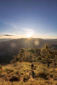 BIB: 
                            <button type="button" onclick="openModal(19369639)" class="btn btn-primary btn-sm float-right btn-popup" data-toggle="modal" data-target=".modal-high-quality">
                        <i class="fas fa-shopping-cart"></i> Add to Cart
                    </button>
                                            <button type="button" onclick="isThisMe(19369639, true)" class="btn btn-success btn-sm float-right btn-popup btn-isme hidden" data-toggle="tooltip" data-placement="bottom" title="นี่คือรูปของคุณใช่ไหม คลิกที่นี่เพื่อเอาเข้าอัลบั้ม">
                        <i class="fas fa-plus"></i> Add to album
                    </button>
                    <button type="button" onclick="isThisMe(19369639, false)" class="btn btn-warning btn-sm float-right btn-popup btn-isnotme hidden">
                        <i class="fas fa-ban"></i> Remove from album
                    </button>