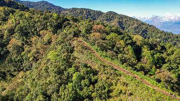 BIB: 
                            <button type="button" onclick="openModal(19369796)" class="btn btn-primary btn-sm float-right btn-popup" data-toggle="modal" data-target=".modal-high-quality">
                        <i class="fas fa-shopping-cart"></i> Add to Cart
                    </button>
                                            <button type="button" onclick="isThisMe(19369796, true)" class="btn btn-success btn-sm float-right btn-popup btn-isme hidden" data-toggle="tooltip" data-placement="bottom" title="นี่คือรูปของคุณใช่ไหม คลิกที่นี่เพื่อเอาเข้าอัลบั้ม">
                        <i class="fas fa-plus"></i> Add to album
                    </button>
                    <button type="button" onclick="isThisMe(19369796, false)" class="btn btn-warning btn-sm float-right btn-popup btn-isnotme hidden">
                        <i class="fas fa-ban"></i> Remove from album
                    </button>