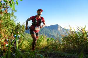 BIB: 
                            <button type="button" onclick="openModal(19371425)" class="btn btn-primary btn-sm float-right btn-popup" data-toggle="modal" data-target=".modal-high-quality">
                        <i class="fas fa-shopping-cart"></i> Add to Cart
                    </button>
                                            <button type="button" onclick="isThisMe(19371425, true)" class="btn btn-success btn-sm float-right btn-popup btn-isme hidden" data-toggle="tooltip" data-placement="bottom" title="นี่คือรูปของคุณใช่ไหม คลิกที่นี่เพื่อเอาเข้าอัลบั้ม">
                        <i class="fas fa-plus"></i> Add to album
                    </button>
                    <button type="button" onclick="isThisMe(19371425, false)" class="btn btn-warning btn-sm float-right btn-popup btn-isnotme hidden">
                        <i class="fas fa-ban"></i> Remove from album
                    </button>