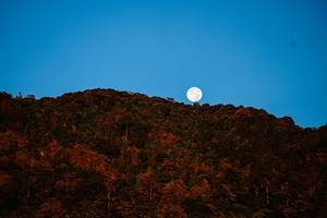 BIB: 
                            <button type="button" onclick="openModal(19370939)" class="btn btn-primary btn-sm float-right btn-popup" data-toggle="modal" data-target=".modal-high-quality">
                        <i class="fas fa-shopping-cart"></i> Add to Cart
                    </button>
                                            <button type="button" onclick="isThisMe(19370939, true)" class="btn btn-success btn-sm float-right btn-popup btn-isme hidden" data-toggle="tooltip" data-placement="bottom" title="นี่คือรูปของคุณใช่ไหม คลิกที่นี่เพื่อเอาเข้าอัลบั้ม">
                        <i class="fas fa-plus"></i> Add to album
                    </button>
                    <button type="button" onclick="isThisMe(19370939, false)" class="btn btn-warning btn-sm float-right btn-popup btn-isnotme hidden">
                        <i class="fas fa-ban"></i> Remove from album
                    </button>