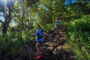 BIB: 
                            <button type="button" onclick="openModal(19371116)" class="btn btn-primary btn-sm float-right btn-popup" data-toggle="modal" data-target=".modal-high-quality">
                        <i class="fas fa-shopping-cart"></i> Add to Cart
                    </button>
                                            <button type="button" onclick="isThisMe(19371116, true)" class="btn btn-success btn-sm float-right btn-popup btn-isme hidden" data-toggle="tooltip" data-placement="bottom" title="นี่คือรูปของคุณใช่ไหม คลิกที่นี่เพื่อเอาเข้าอัลบั้ม">
                        <i class="fas fa-plus"></i> Add to album
                    </button>
                    <button type="button" onclick="isThisMe(19371116, false)" class="btn btn-warning btn-sm float-right btn-popup btn-isnotme hidden">
                        <i class="fas fa-ban"></i> Remove from album
                    </button>