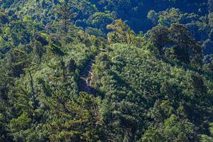 BIB: 
                            <button type="button" onclick="openModal(19371028)" class="btn btn-primary btn-sm float-right btn-popup" data-toggle="modal" data-target=".modal-high-quality">
                        <i class="fas fa-shopping-cart"></i> Add to Cart
                    </button>
                                            <button type="button" onclick="isThisMe(19371028, true)" class="btn btn-success btn-sm float-right btn-popup btn-isme hidden" data-toggle="tooltip" data-placement="bottom" title="นี่คือรูปของคุณใช่ไหม คลิกที่นี่เพื่อเอาเข้าอัลบั้ม">
                        <i class="fas fa-plus"></i> Add to album
                    </button>
                    <button type="button" onclick="isThisMe(19371028, false)" class="btn btn-warning btn-sm float-right btn-popup btn-isnotme hidden">
                        <i class="fas fa-ban"></i> Remove from album
                    </button>